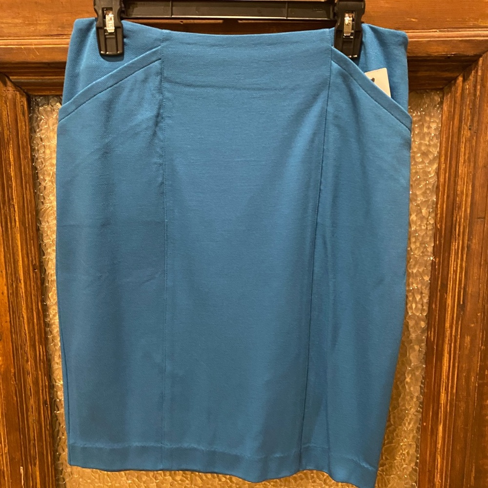 CAbi Sigourney Skirt! New with tag!